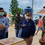 peternakan sapi terpadu kutai timur kaltim prima coal