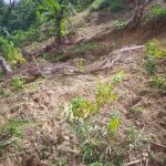 Longsor dan Tanah Terus Bergerak, Puluhan Warga Diungsikan dari Bukit Steling - headlinekaltim.co