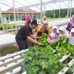 Dampingi Santri Ponpes, Nanda Lahirkan Wirausahawan Hidroponik - headlinekaltim.co