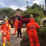 Kasus COVID-19 di Kutai Kartanegara Tembus 771 Kasus, Kelurahan Maluhu Pecah Telur - headlinekaltim.co