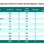 Kasus Kematian Melonjak, Kesembuhan COVID-19 di Kaltim Melorot ke 56 Persen