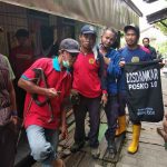 3 Ekor Ular Dievakuasi Dalam Sehari, Seekor Piton Nyebur ke Mahakam - headlinekaltim.co