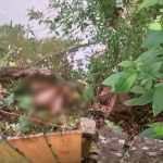 berita berau hari ini : Kisah Keluarga yang Berniat Piknik, Malah Menemukan Mayat Perempuan Setengah Bugil