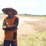 Petani Desa Sri Raharja Berharap Perbaikan Jalan dan Irigasi - headlinekaltim.co