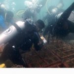 Brimob Polda Kaltim Tanam Terumbu Karang