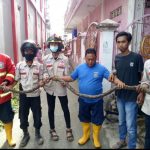 Disdamkar Evakuasi Ular Piton 3 Meter di Rumah Warga Kelurahan Masjid