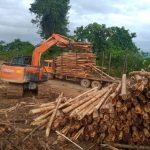 Kembangkan Usaha, Perseroda KSDE Garap Sektor Kehutanan