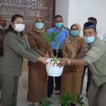 Komisi II DPRD Kaltim Dukung Petani Budidayakan Tanaman Porang