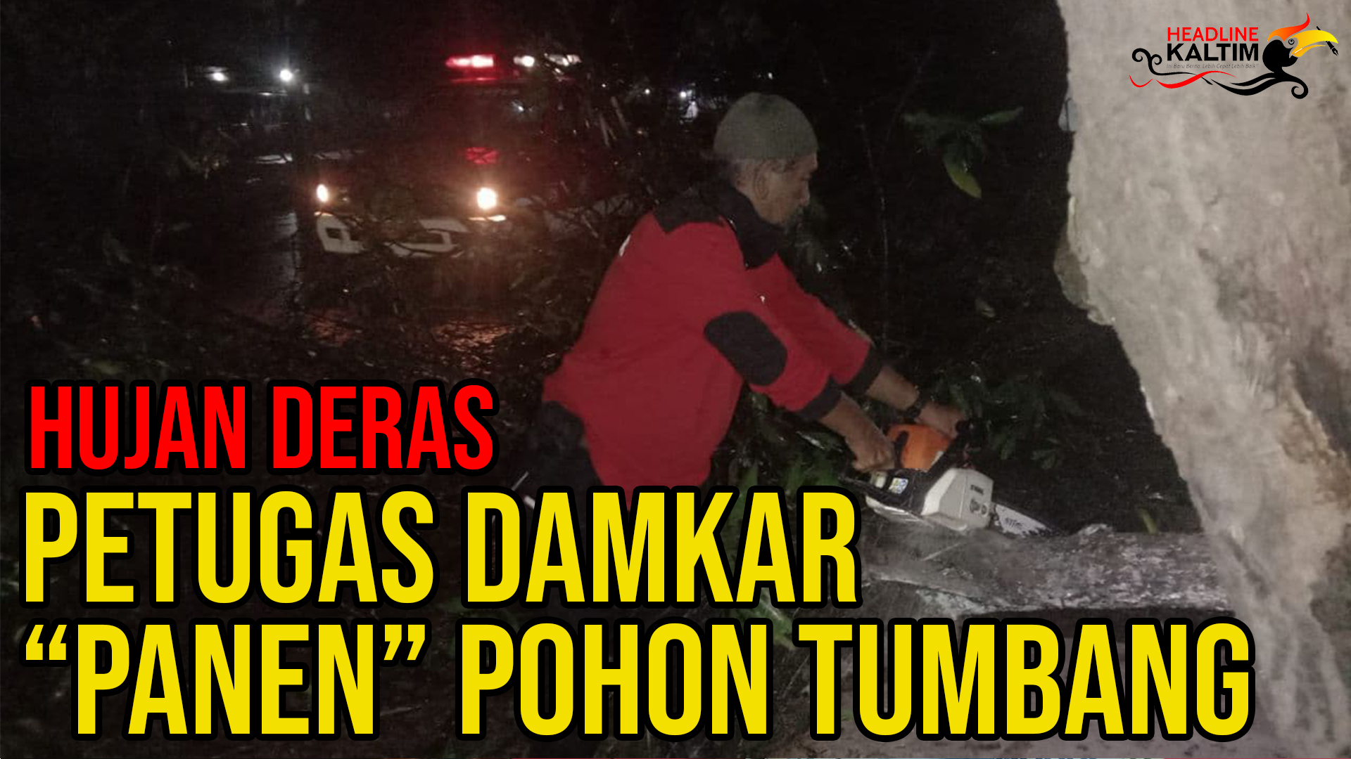 Hujan Deras Disertai Angin, Petugas Damkar “Panen” Pohon Tumbang