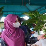 Pameran Tanaman Hias Bisa Tingkatkan Perekonomian