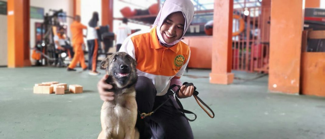 KPP Balikpapan Siapkan 6 Rescuer SAR Dog