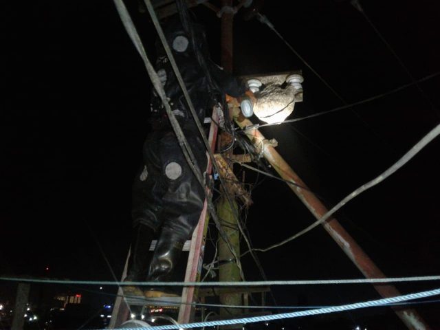 Damkar Evakuasi Sarang Tawon Tabuan di Tiang Listrik