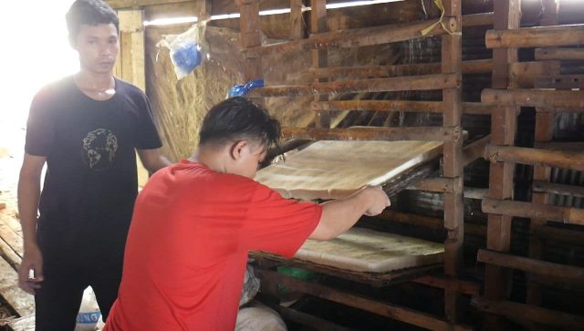 Harga Kedelai Naik, Produksi Tahu dan Tempe Terdampak