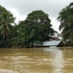 18 Desa di Kutim Terendam, 1.987 KK Terdampak