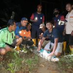 Petugas Damkar Tangkap Buaya Sepanjang 2 Meter