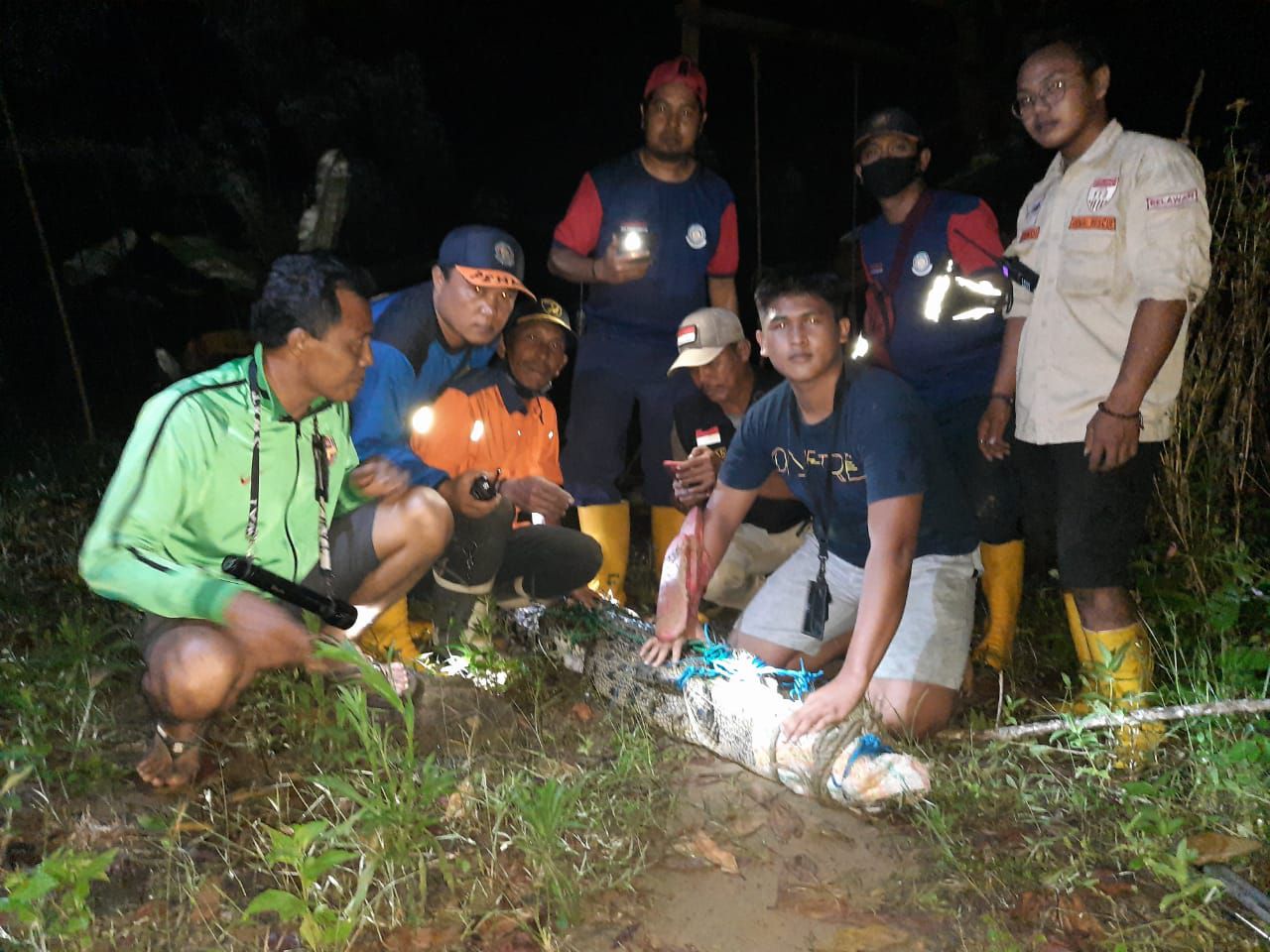Petugas Damkar Tangkap Buaya Sepanjang 2 Meter