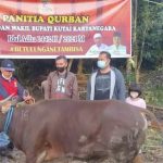 Bupati Edi Damansyah Salurkan Sapi Kurban ke PWI Kukar