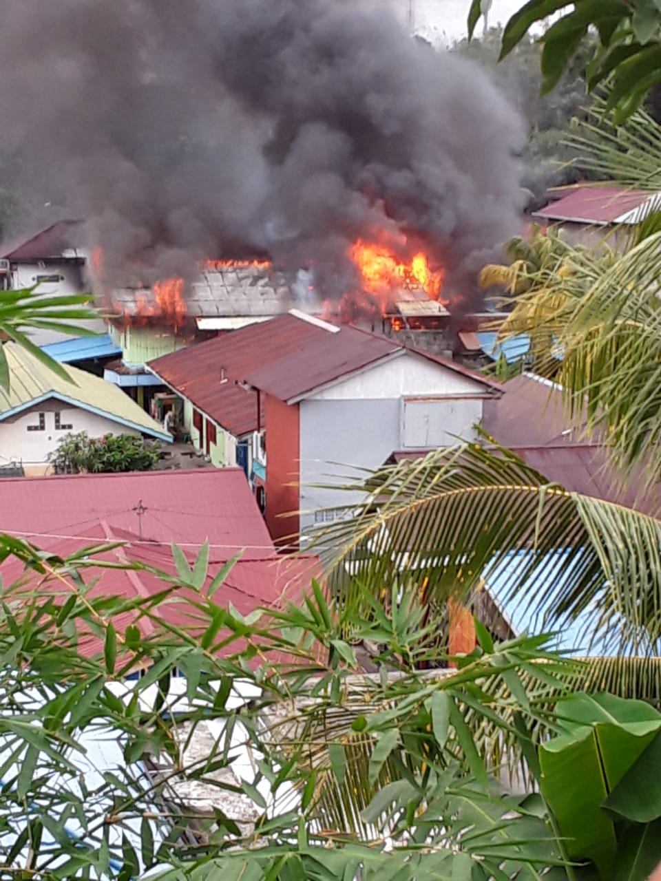 Kebakaran di Klandasan, 12 Jiwa Kehilangan Tempat Tinggal