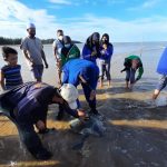Penyu Lekang Berbobot 30 Kg Dilepasliarkan ke Laut