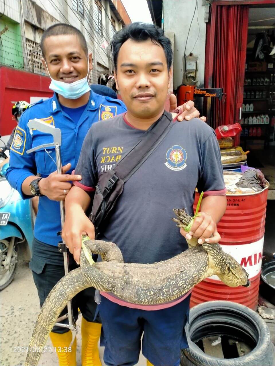 Damkar Evakuasi Kucing dan Biawak