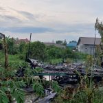 Perempuan Pembakar Rumah di Gunung Belah Ditangkap Dalam Bis Tujuan Banjarmasin