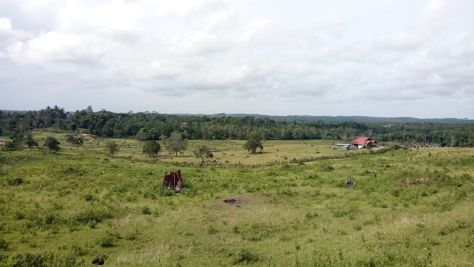 Lembah Bukit Kebo, Hamparan Hijau yang Viral di Masa Pembatasan