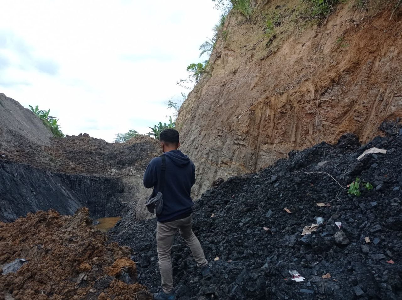 Gali Lubang, Tutup Lubang! Viral Tambang Batu Bara di Pinggir Jalan