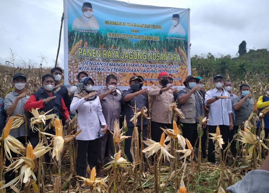 Teknologi Pertanian Semakin Berkembang, Bupati Kukar Edi Damansyah Sebut Peluang Bagi Petani Milenial