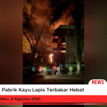 Pabrik Kayu Lapis Terbakar Hebat, Karyawan Kocar kacir