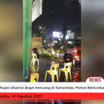 Hujan Disertai Angin Kencang di Samarinda, Pohon Bertumbangan