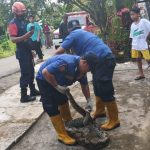 Ular Piton dan Biawak Hebohkan Warga Subulussalam