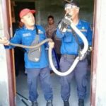 Ular King Kobra Masuk Rumah Warga