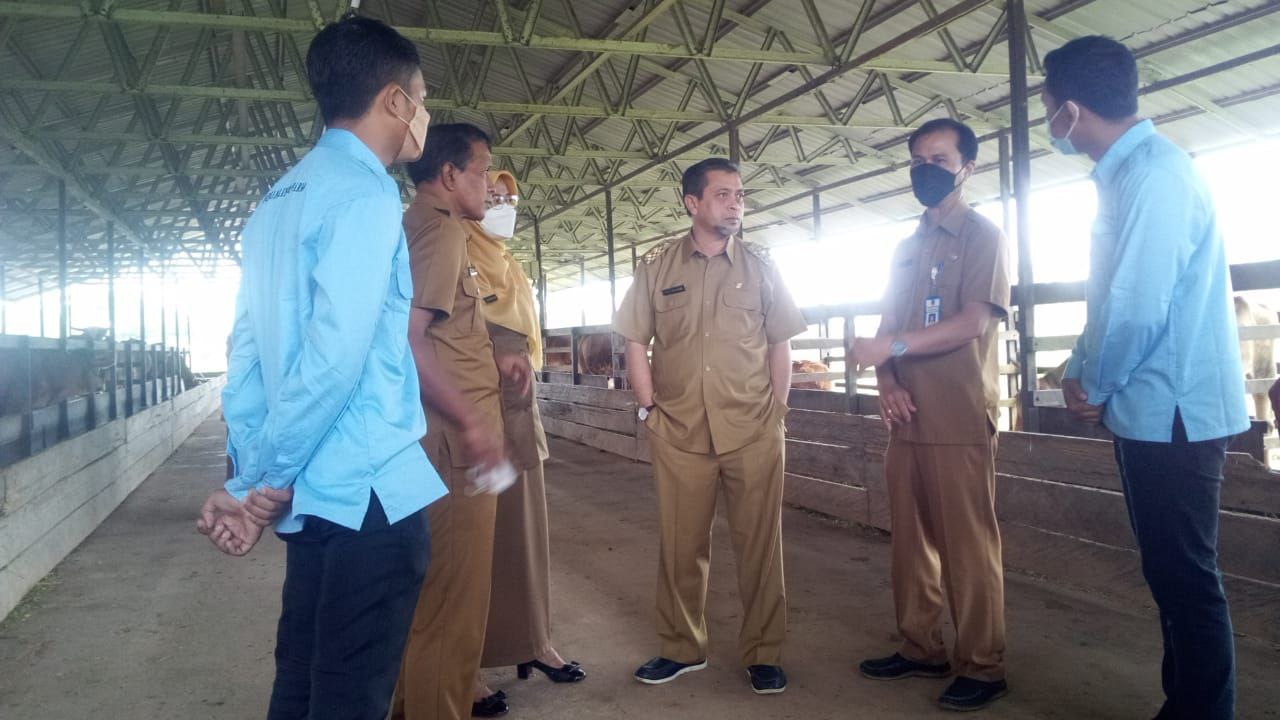 Kunjungi Pemanfaatan Lahan Pasca Tambang, Wagub Kaltim Justru Terima Keluhan Listrik