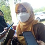 Dinas Pangan Tanaman Pangan Dorong Pemanfaatan Lahan Pasca Tambang untuk Perkebunan
