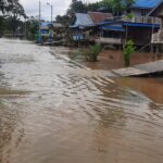 Banjir Kampung Siduung Indah Mulai Surut, Banyak Petani Gagal Panen