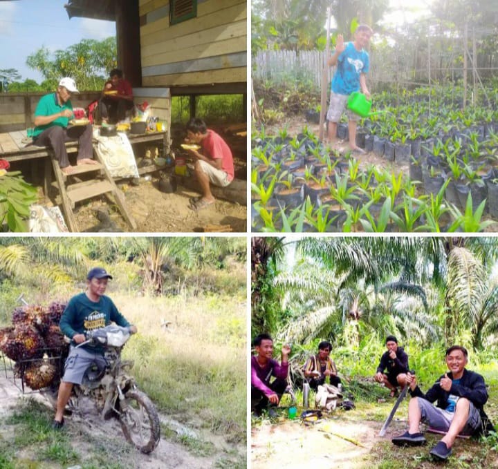 Anggota DPRD Kutim Son Hatta Bertani Berkebun Dukung Ketahanan Pangan