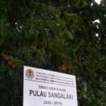 Pencurian Telur Penyu Harus Jadi Perhatian Bersama