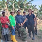 Anggota DPRD Kutim Son Hatta Dukung Pengembangan Pisang Gepok Grecek