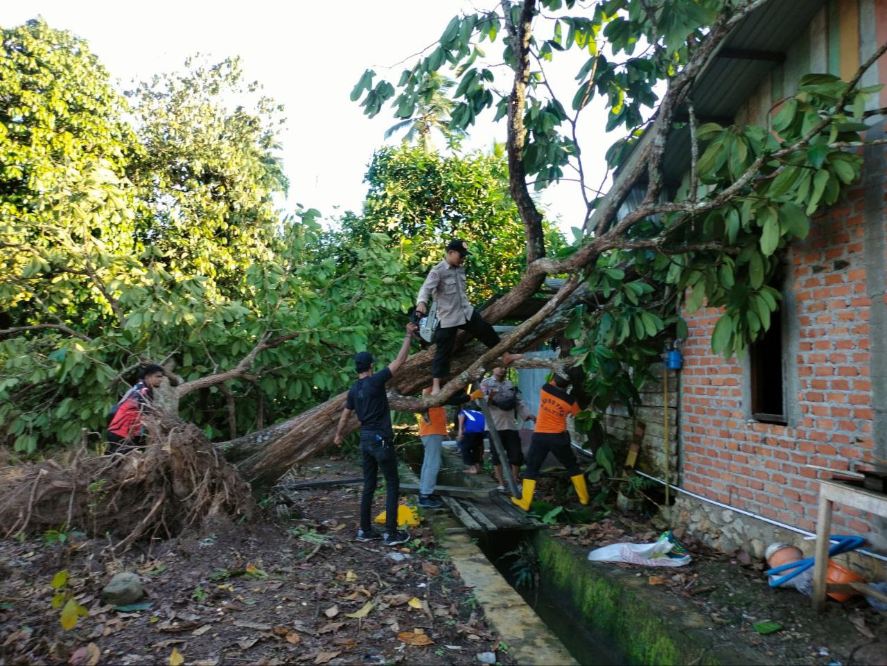 Puluhan Rumah Rusak, 7 Pohon Tumbang Diterjang Angin Puting