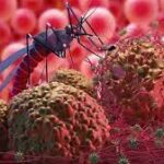 PPU Zona Merah Malaria, Hamdan: Ada Otorita, Prevalensi Turun