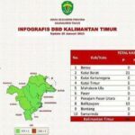 Awal Tahun 2023, Mayoritas Kaltim Zona Hijau DBD