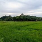 Krisis Petani, Pemkab Kukar Batasi Cetak Sawah Baru dan Jalan Usaha Tani