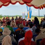 Dari "Kelompencapir Reborn", Produksi Padi Meningkat Sejak Digenjot Program Kukar Makmur Idaman