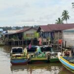 Overfishing dan Praktik Perikanan Ilegal Masih Ditemukan, Ancam Kelanjutan Ekosistem