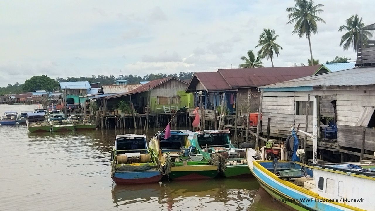 Overfishing dan Praktik Perikanan Ilegal Masih Ditemukan, Ancam Kelanjutan Ekosistem