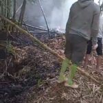 Lahan Kosong di Jl Pirus Terbakar, Ini Kata BPBD