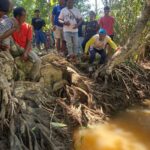 Warga Kampung Melati Jaya Diterkam Buaya