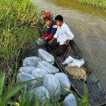 DKP Kukar Lepas Ribuan Bibit Gurame ke Sungai Tenggarong