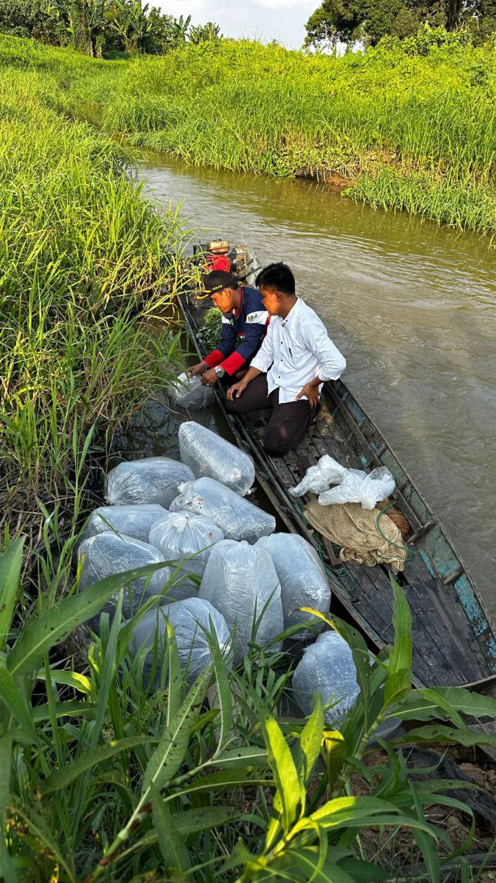 DKP Kukar Lepas Ribuan Bibit Gurame ke Sungai Tenggarong