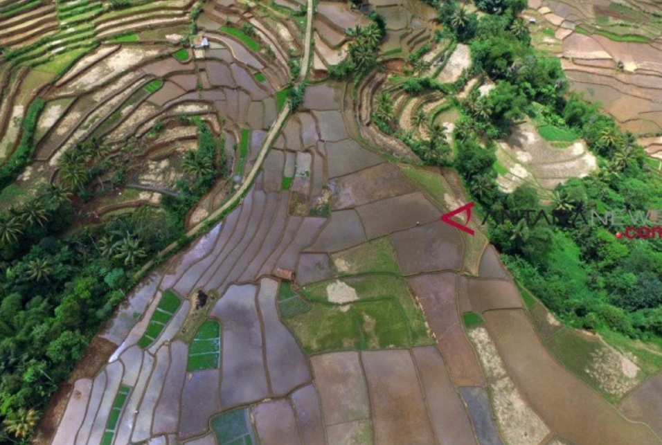 Protes Petani Eropa Tanda Solusi Iklim Jangan hanya Dibahas Para Elite